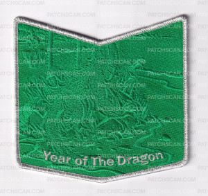 Patch Scan of 173224-Metallic Pocket 