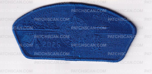 Patch Scan of NYLT CSP