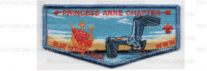 Patch Scan of Princess Anne Flap (PO 101015)