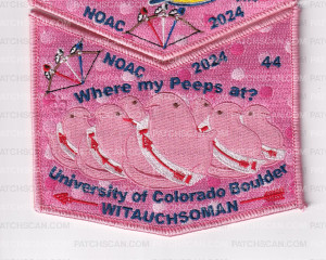 Patch Scan of Minsi Trails Council NOAC Set