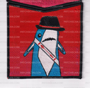 Patch Scan of National Capital Area Council NOAC 2024 Set