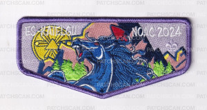 Patch Scan of 174729-Purple Flap