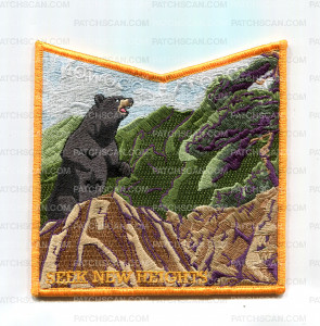 Patch Scan of NEGC NOAC 2024 Bottom (Gold)