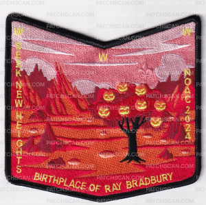 Patch Scan of 172542-Pocket 