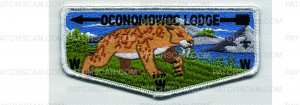 Patch Scan of Lodge Flap (PO 103060)