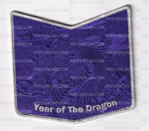 Patch Scan of 173225-Metallic Pocket