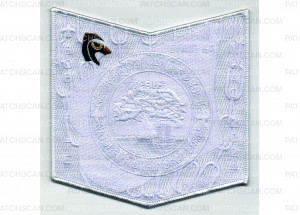 Patch Scan of 2024 NOAC Pocket Patch "The Scout"