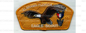 Patch Scan of Eagle Scout CSP (PO 100085)