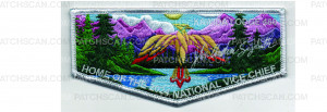 Patch Scan of 2024 National Vice Chief Flap (PO 101868)