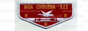 Patch Scan of OBV Flap (PO 103023)