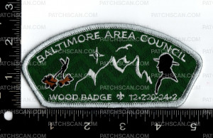 Patch Scan of 173546-3 Bead