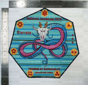Patch Scan of CAC (OK) Backpatch Jambo 26