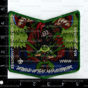 Patch Scan of 162372Mylar6