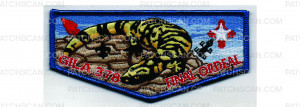 Patch Scan of Final Ordeal Flap (PO 103066)