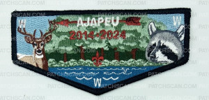 Patch Scan of AJAPEU 2014-2014