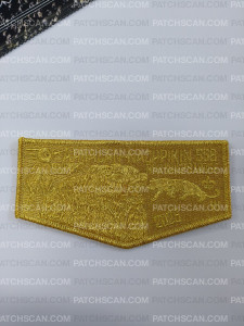 Patch Scan of Ahoalan-Nachpikin RNC Chief's Lodge Flap (Gold)