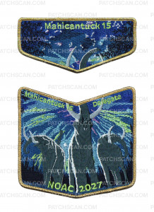 Patch Scan of 193915 - gold pocket piece
