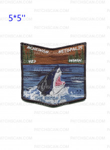 Patch Scan of Achewon Netopalis NOAC 2024 Day (Pocket Piece)