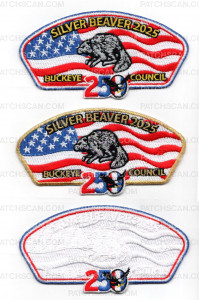 Patch Scan of 189879 - Silver Beaver Metallic 
