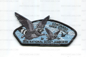 Patch Scan of Coronado Area Council 2026 flying raccoons black border