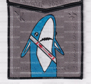 Patch Scan of National Capital Area Council NOAC 2024 Set