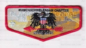 Patch Scan of 173691-Flap