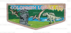 Patch Scan of Colonneh Lodge Dino Flap (Climbing) Aurora