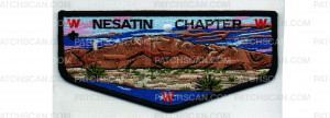 Patch Scan of Nesatin Chapter Flap (PO 101787)