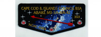 NOAC 2024 Flap (PO 102234) Cape Cod and the Islands Council #224