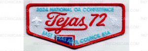 Patch Scan of 2024 NOAC Delegate Flap #2 (PO 101909)