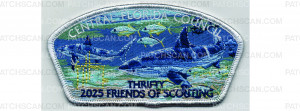 Patch Scan of 2025 Friends of Scouting CSP (PO 102680)