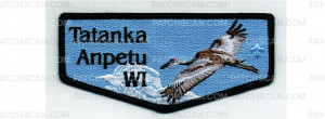 Patch Scan of NOAC Flap (PO 102261)