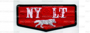 Patch Scan of NYLT Flap (PO 103078)