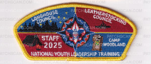 Patch Scan of NYLT CSP