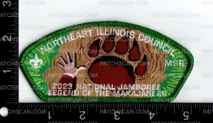 Patch Scan of 162372Metallic2