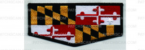 Patch Scan of Maryland Flap (PO 101998)