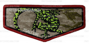 Patch Scan of TSALI 2027 Flap (Green Salamander)