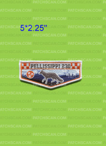 Patch Scan of Pellissippi 230 checkerboard flap white border