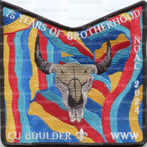 Patch Scan of 469149- 75years of brotherhood 