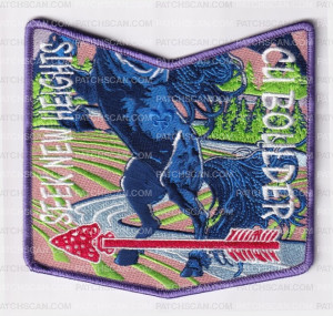 Patch Scan of 174729-Purple Pocket