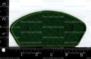 Patch Scan of 173546-2 Bead Ghosted Green