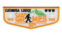 Catawba Lodge Camp Grimes 50th Mecklenburg County Council #415