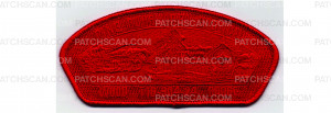 Patch Scan of Wood Badge T16-304-24 CSP (PO 101791)