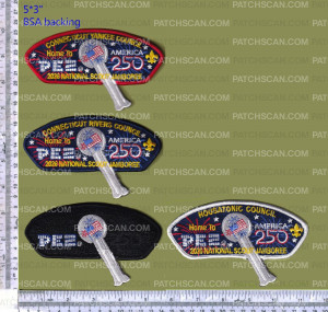 Patch Scan of 475262- Greenwhich council 