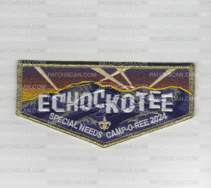 Patch Scan of NFC special needs camp-o-ree 2024 FLAP