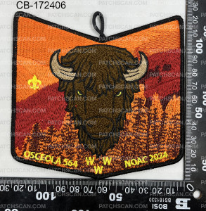 Patch Scan of 172406-Pocket