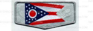 Patch Scan of Ohio Flap (PO 102028)