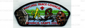 Patch Scan of Council Camps CSP (PO 101946)