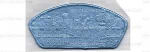 Patch Scan of Wood Badge CSP (PO 100861)