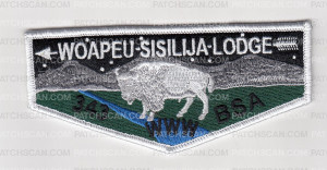 Patch Scan of Woapeu-Sisilija Lodge Flap Set